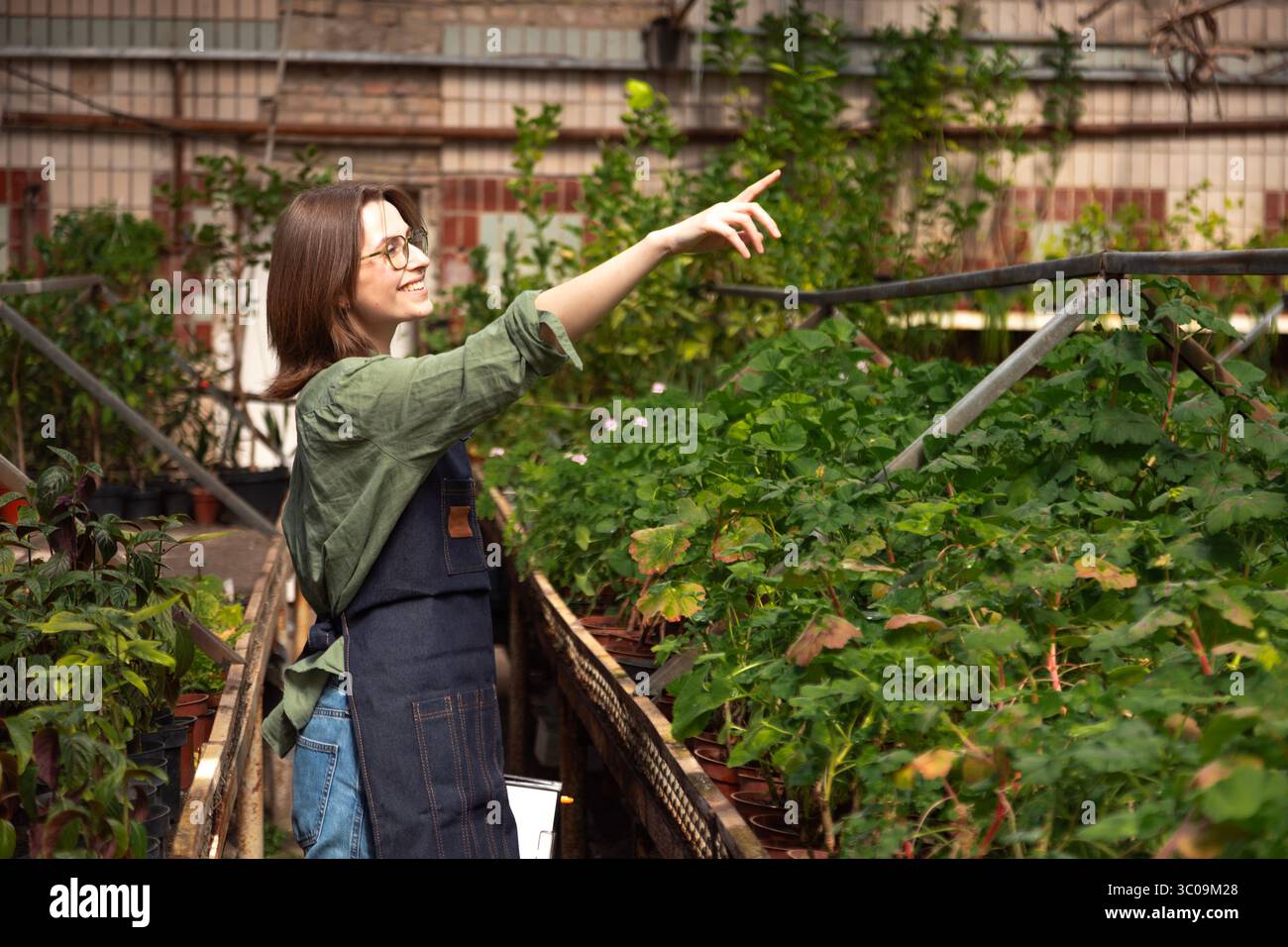 Greenhouse worker gestures toward plants while explaining something Stock Photo