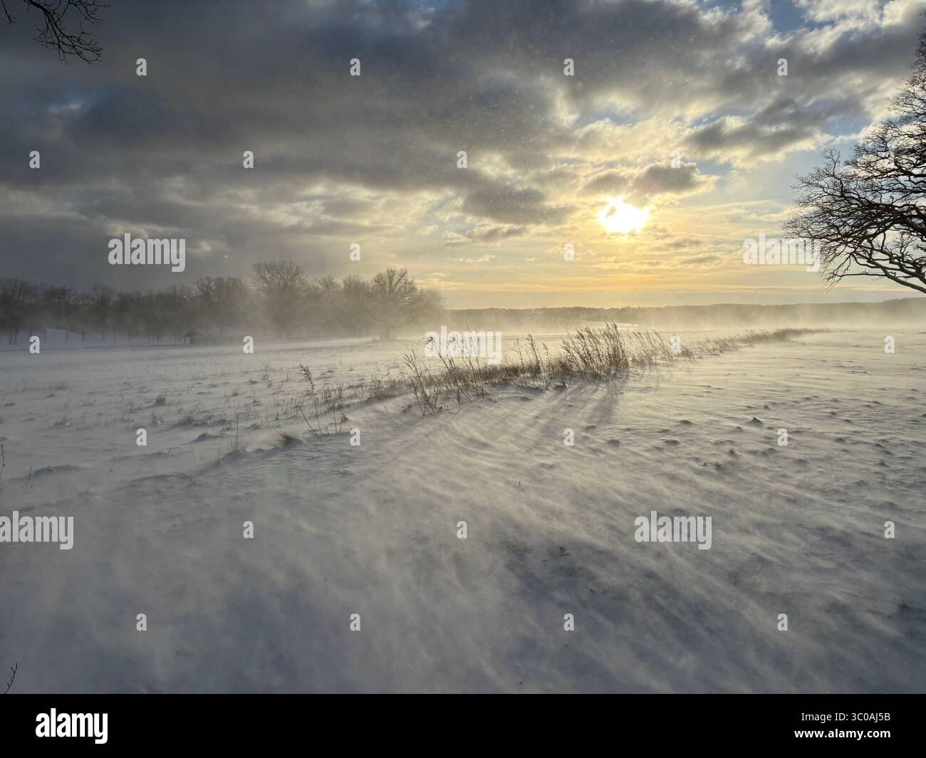 Blowing snow under a winter sun - Smartphone Captured Stock Image