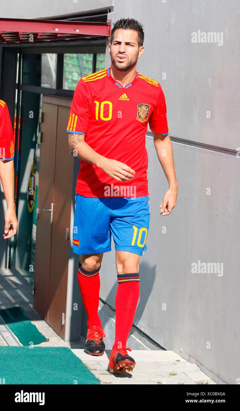 Cesc fabregas world cup hi-res stock photography and images