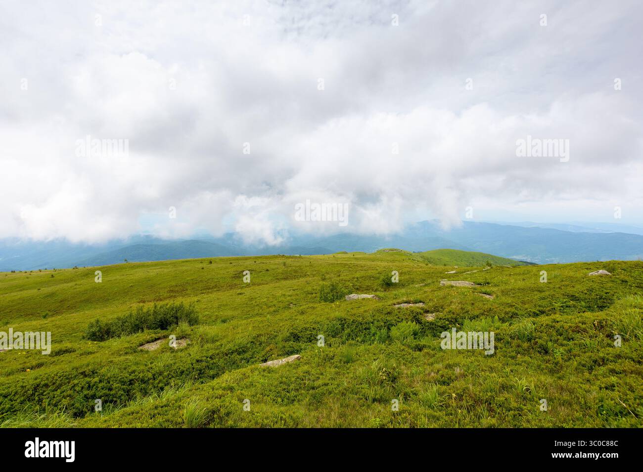 mountain landscape summer with alpine meadow. meteorology background with overcast sky. scenery with green grass of caprathian range Stock Photo