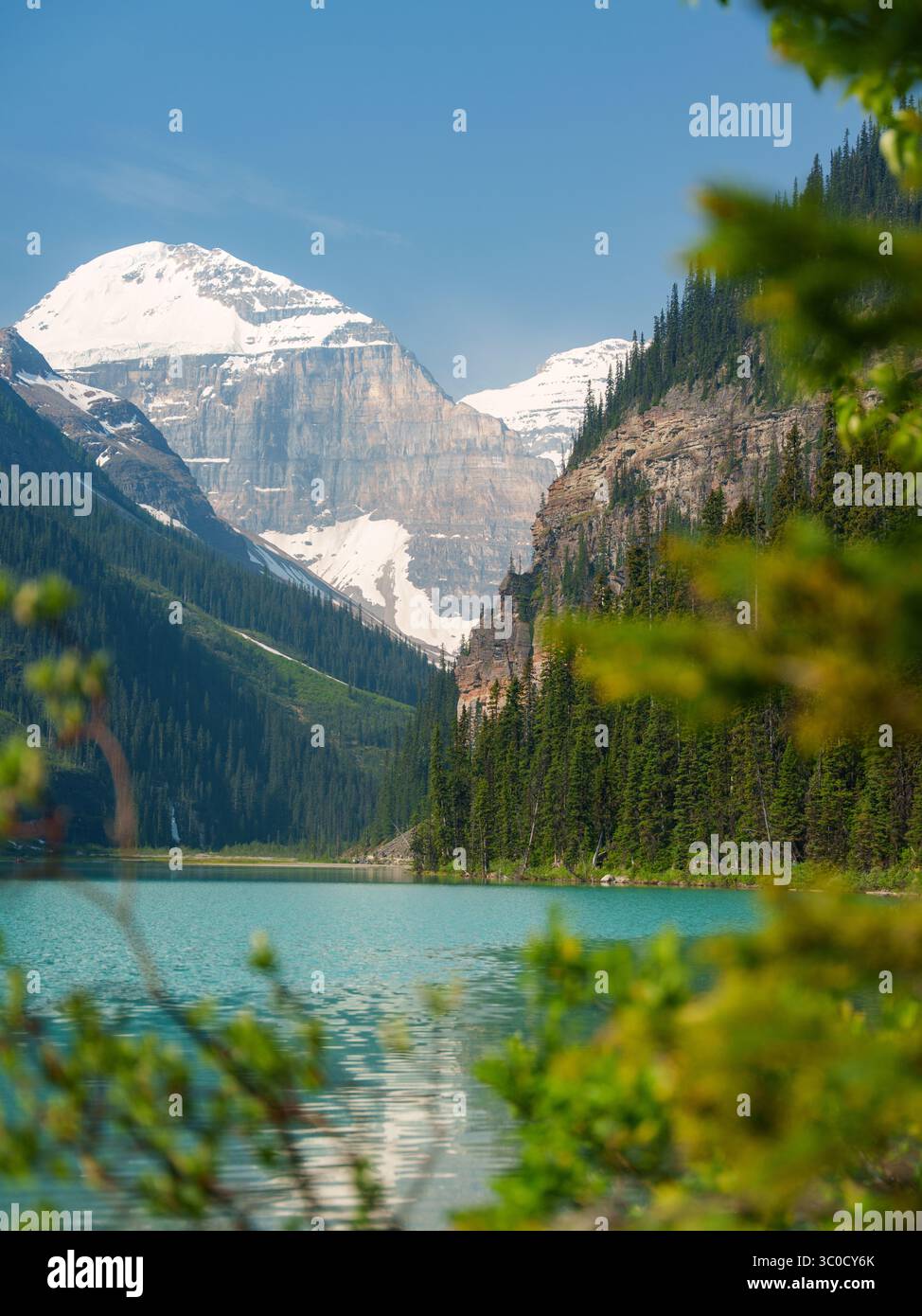 View of turquoise Lake Louise surrounded by mountains on both sides ...