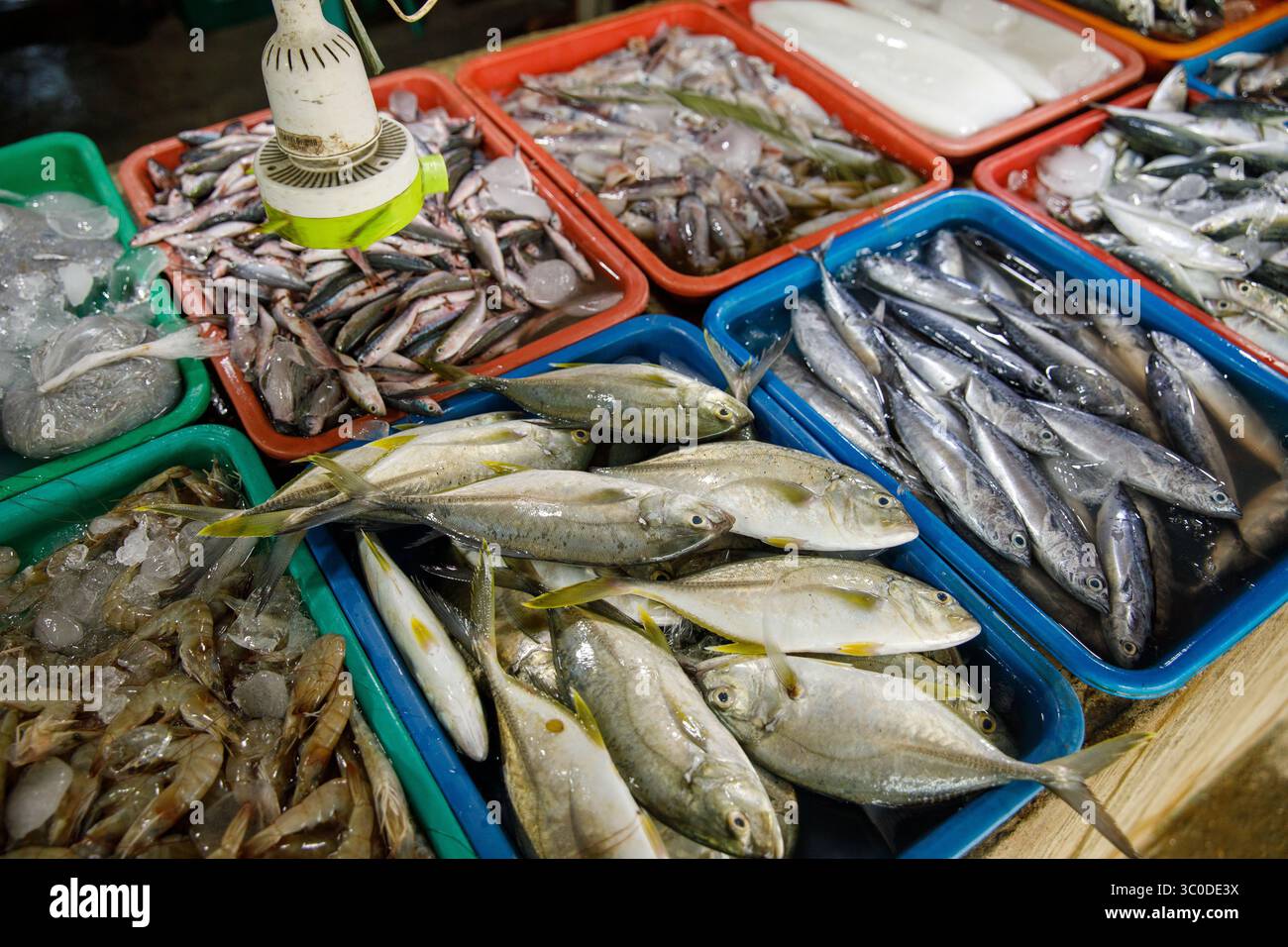 Asian fish market, fresh seafood assortment with various types of fish ...