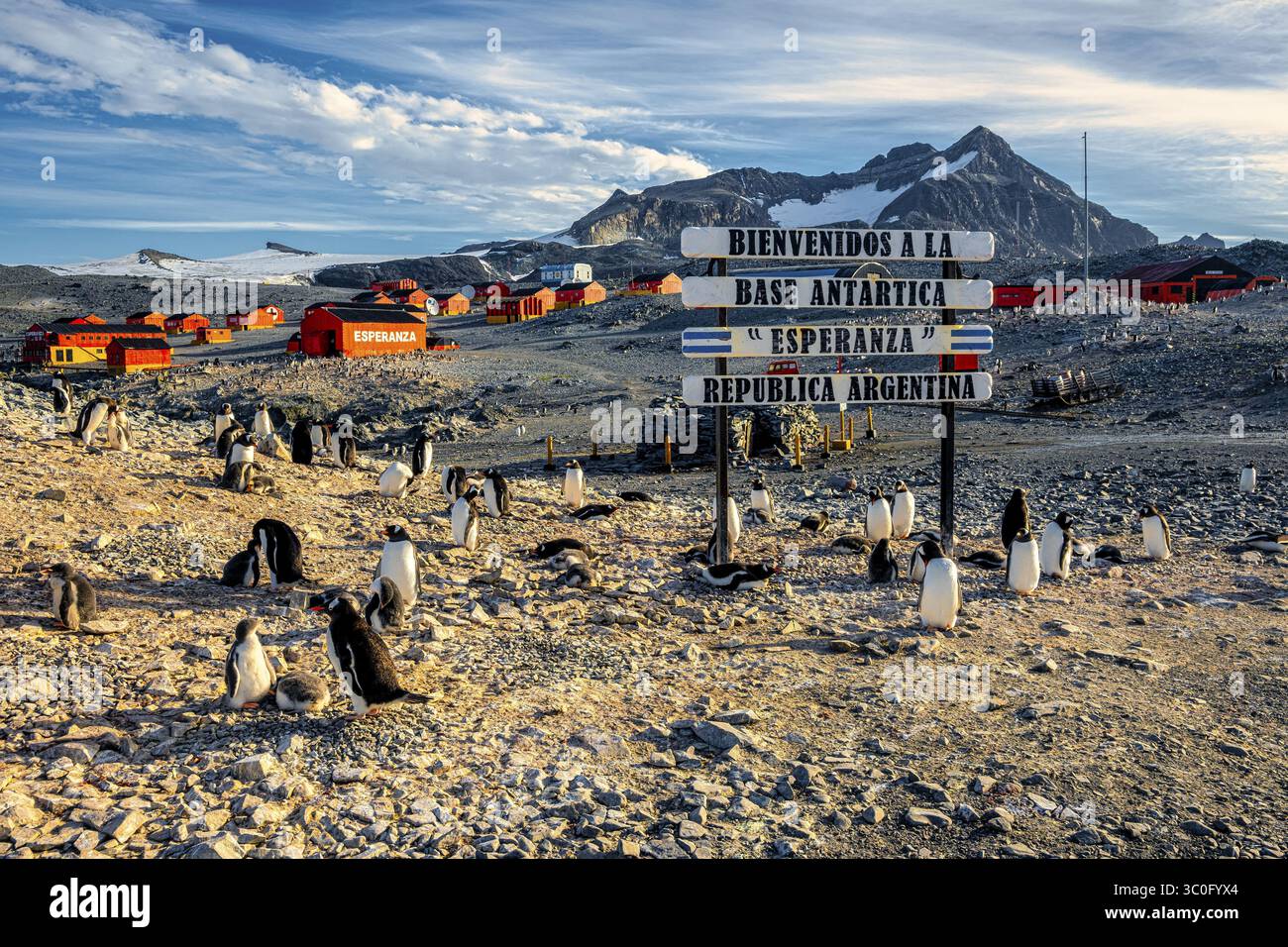 Base esperanza hi-res stock photography and images - Alamy, image size:1300x956