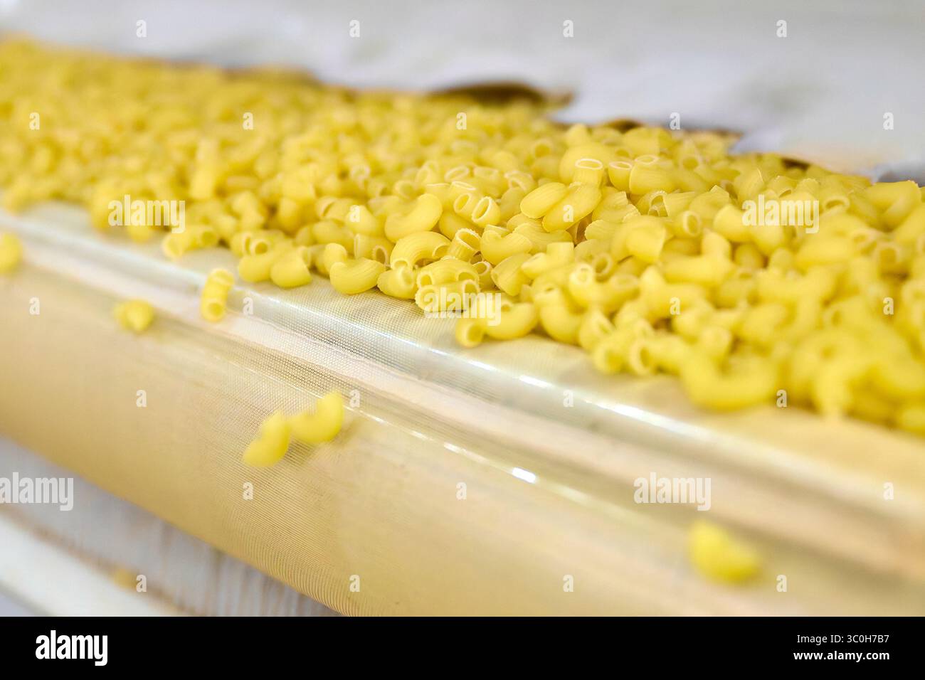 Workers packaging raw macaroni in hi-res stock photography and images ...