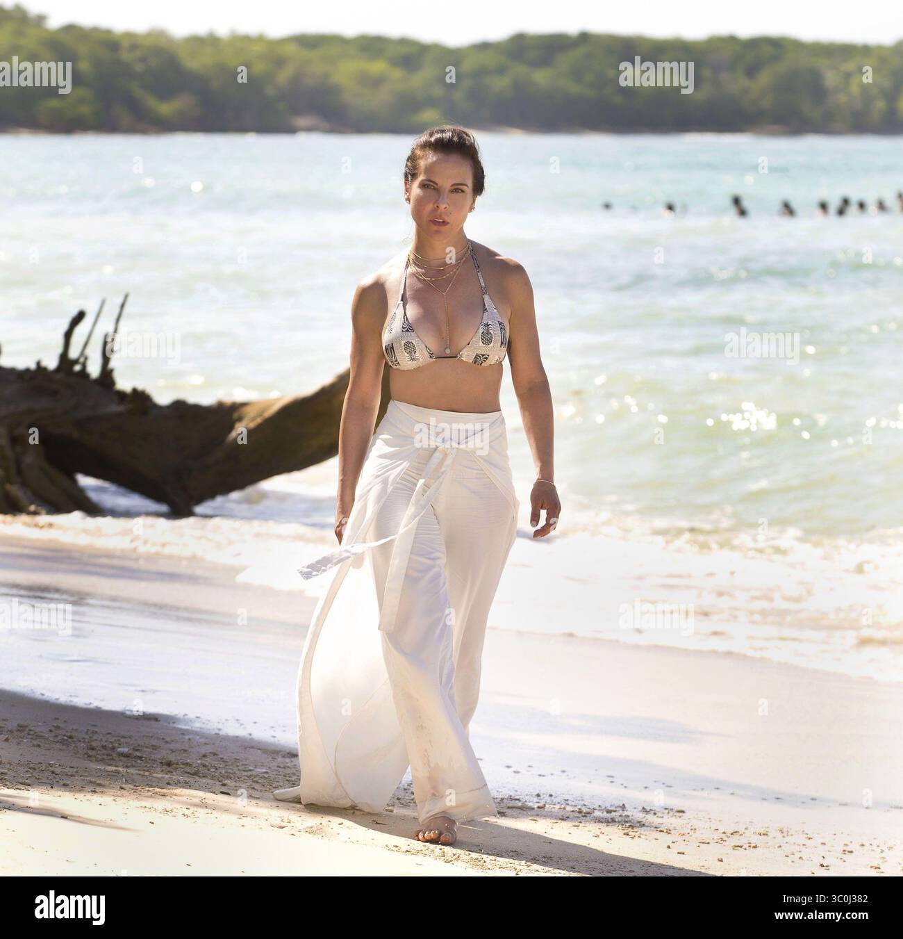 Vida de Santa Teresa de Ávila | PDF | Ciencias sociales, image size:1300x1351