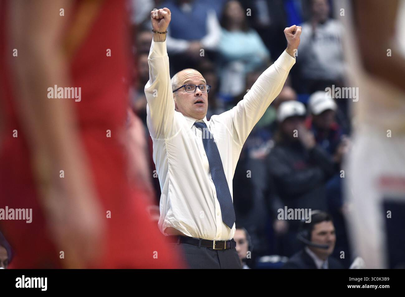 Cape Falcon Trail (Oswald West State Park, OR) – Live and Let Hike, image size:1300x955