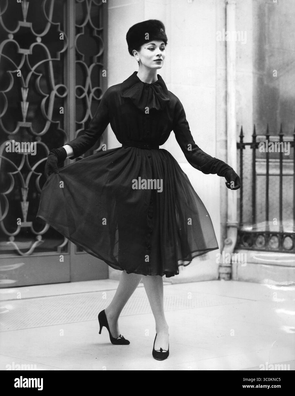 ディオール　首輪 Dior(ディオール) 首輪・ハーネス・リード(ライフスタイル