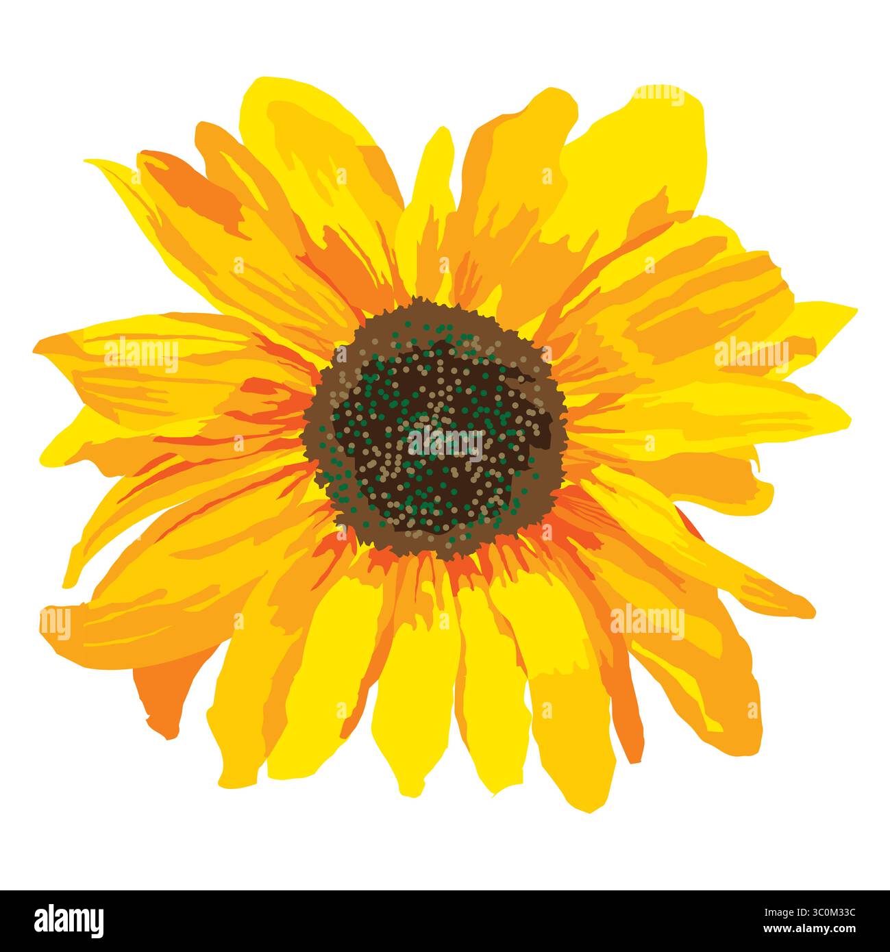 vector illustration of yellow sunflower Stock Vector Image & Art - Alamy