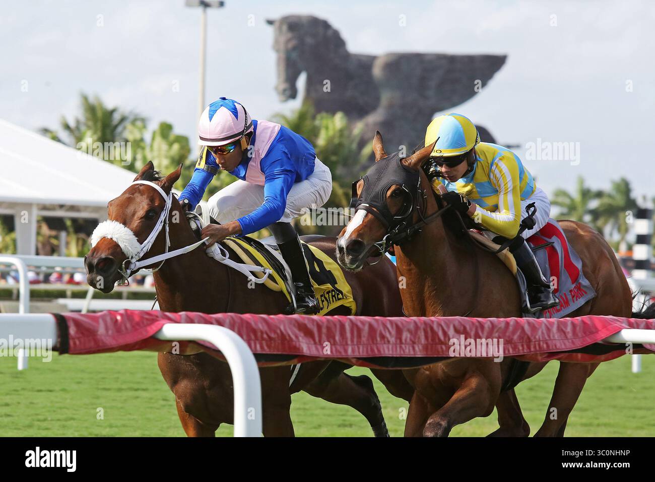 December 8, 2018 - Hallandale Beach, FL, U.S. - December 8, 2018 : #4 A Bit Special (GB) with jockey Romero Maragh on board wins the Wait a While Stakes at Gulfstream Park on December 8, 2018, in Hallandale Beach, FL. Liz Lamont/ESW/CSM(Credit Image: &copy; Liz Lamont/CSM via ZUMA Wire) Stock Photo