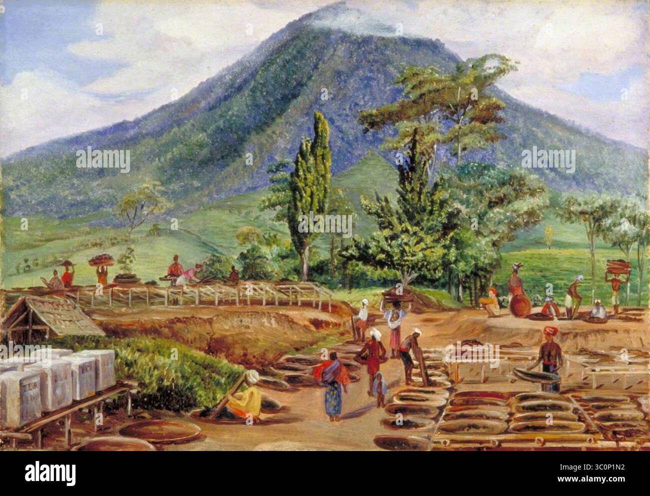 Java 1890 Mr holles hi-res stock photography and images - Alamy