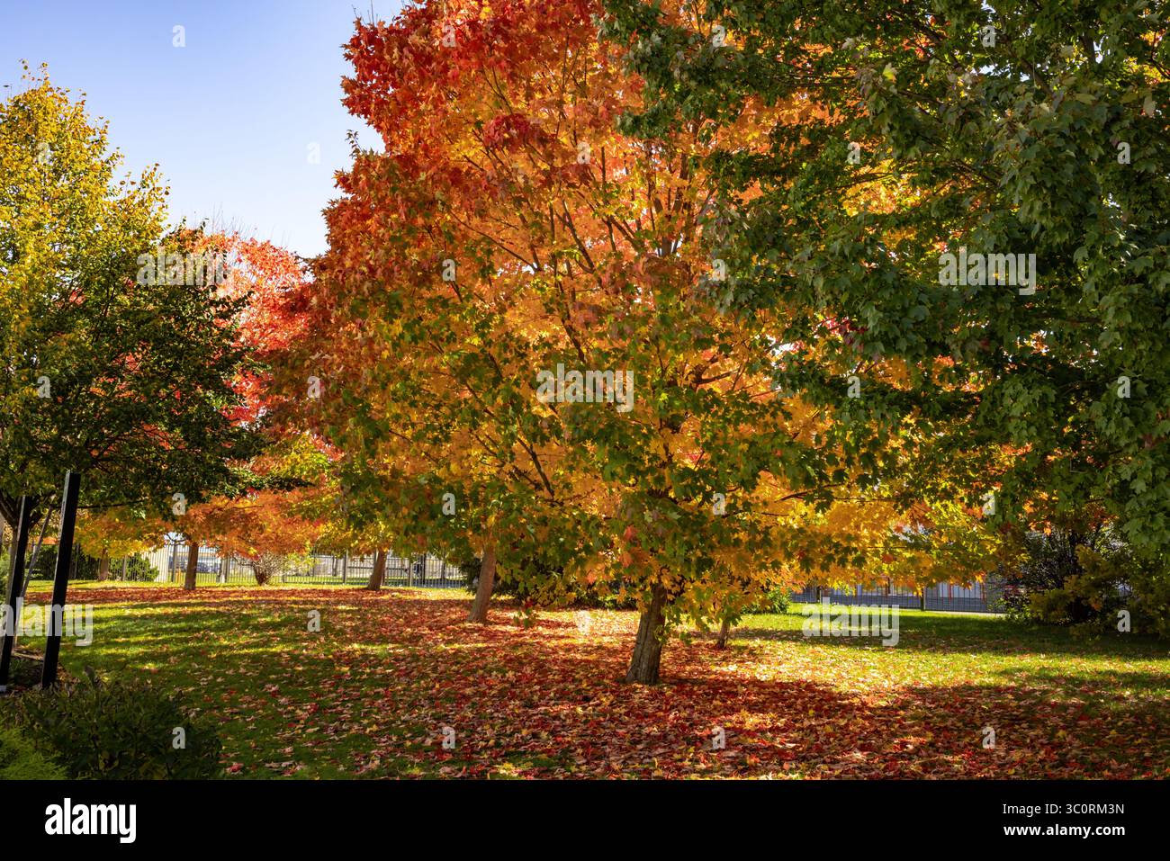 Mountain views in new england hi-res stock photography and images - Alamy