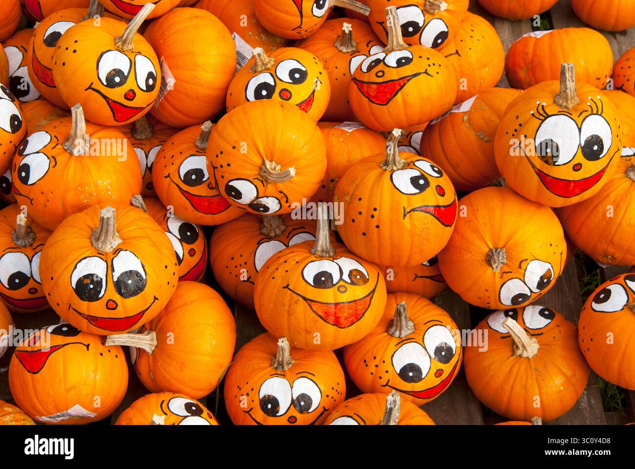 Funny face pumpkin halloween hi-res stock photography and images - Alamy