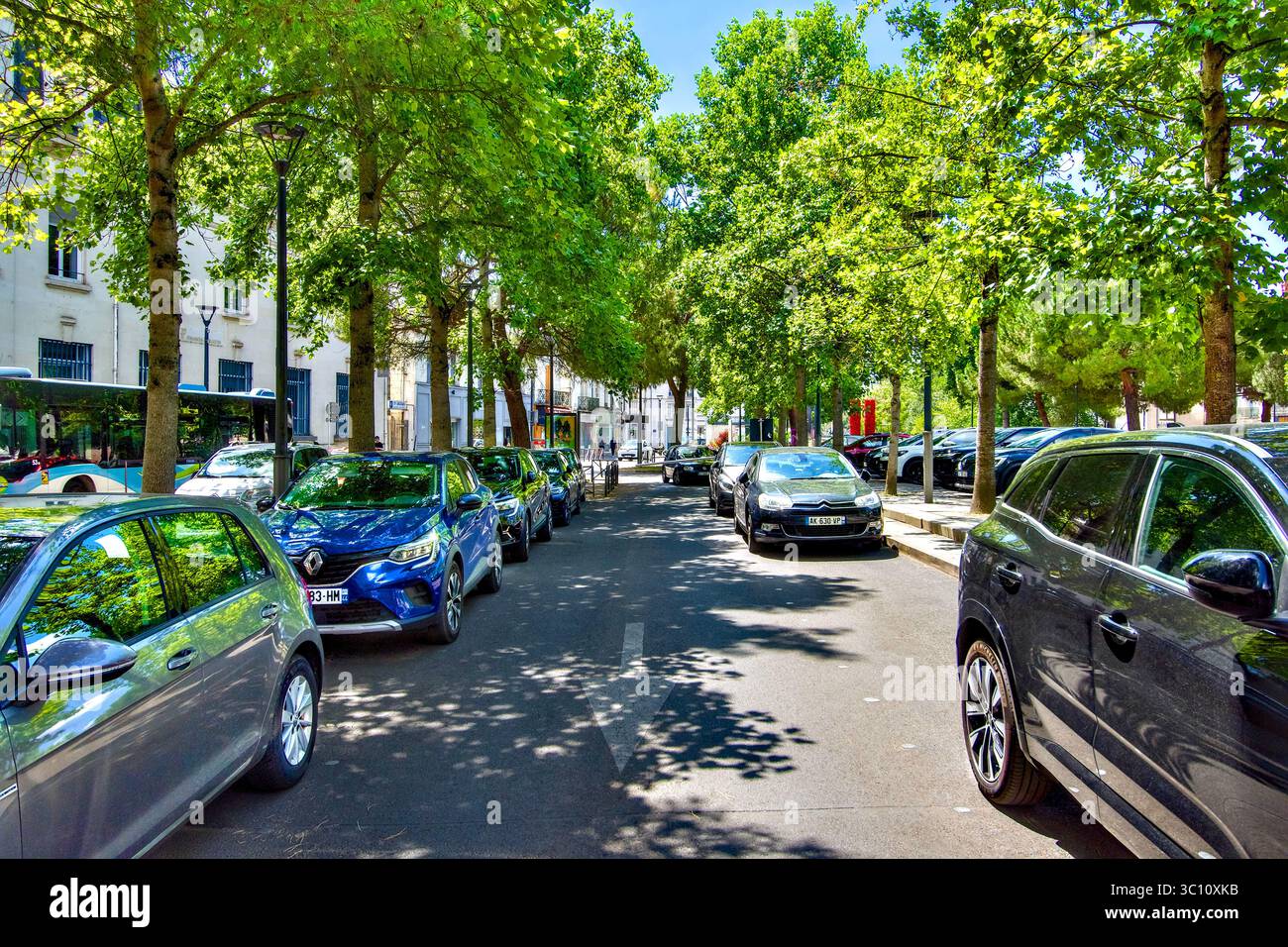 Car parking under shade of deciduous trees in central Chatellerault, Vienne (86), France. Stock Photo