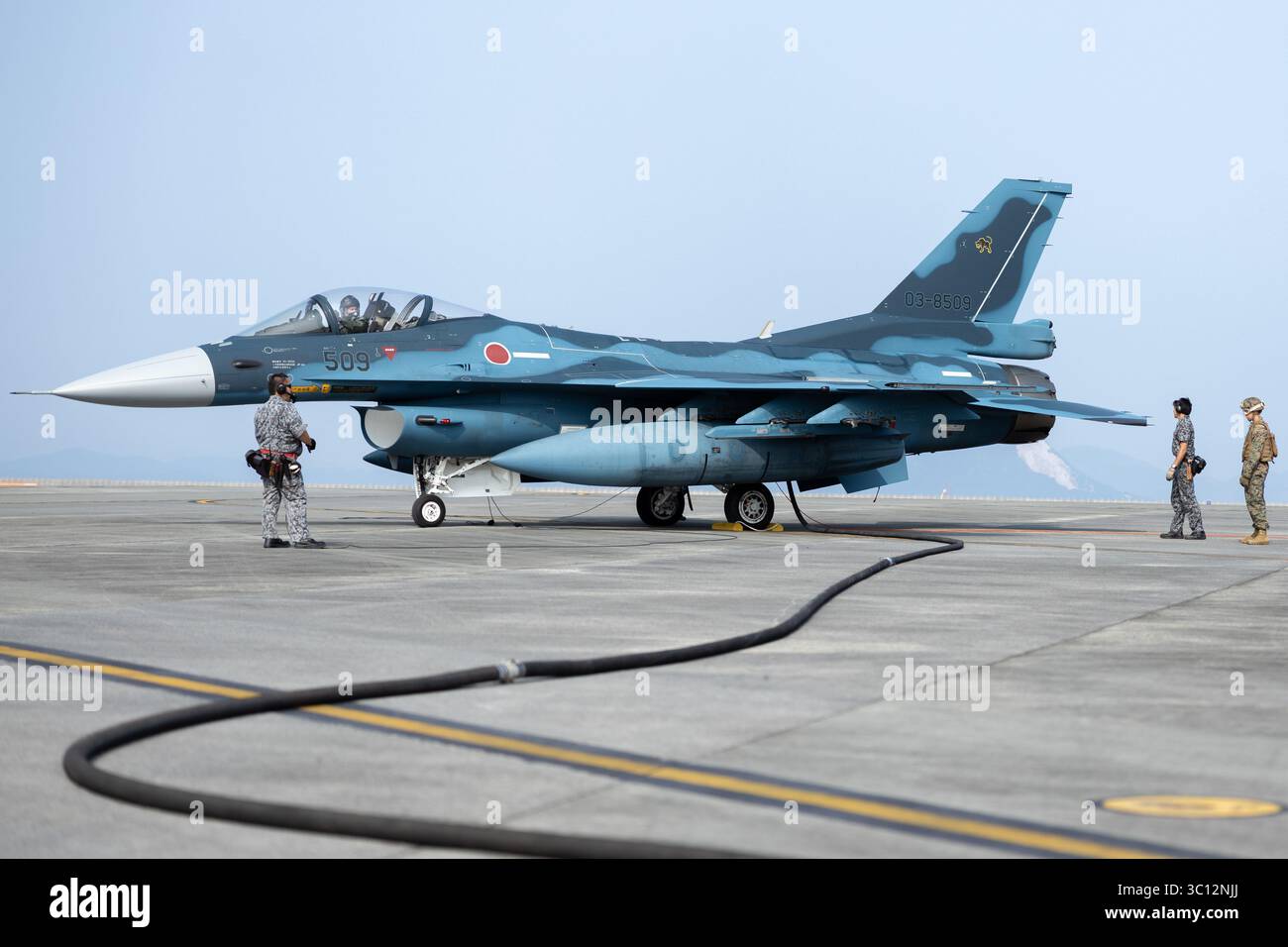 8th Combat Wing 619 TF Squadron スカーフ 8th tactical fighter squadron hi-res stock photography and images