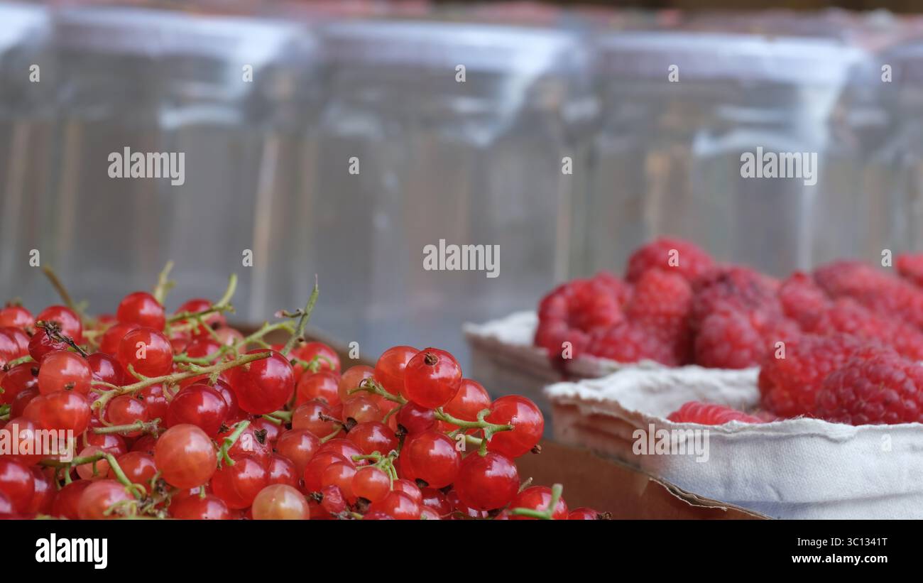 Red currants and raspberries in front of empty jars Stock Photo - Alamy