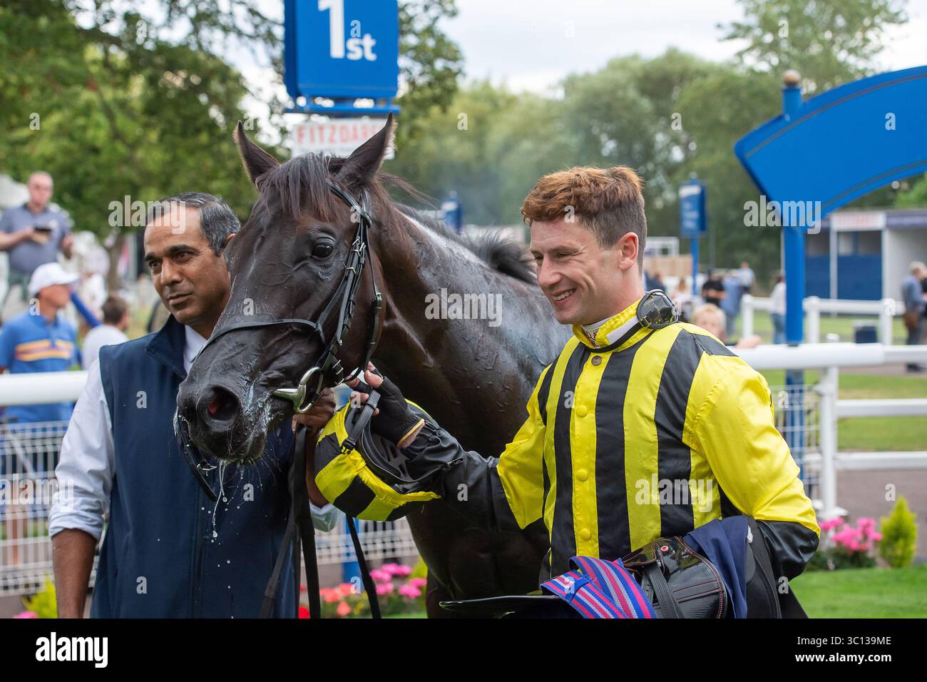 The sharon barry up the saints nursery handicap stakes hires