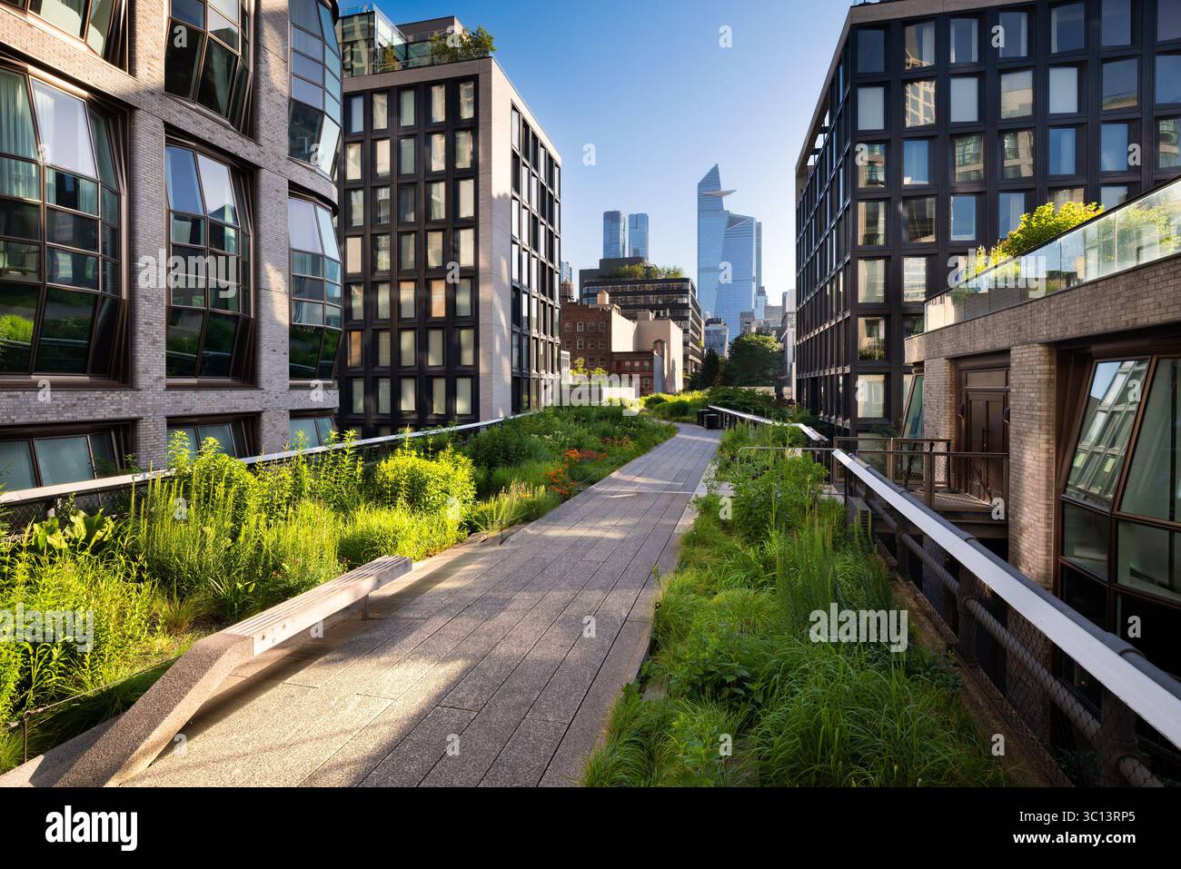 The High Line, a elevated urban park with modern buildings and Hudson Yards skyscrapers in morning light. Chelsea, Manhattan, New York City Stock Photo