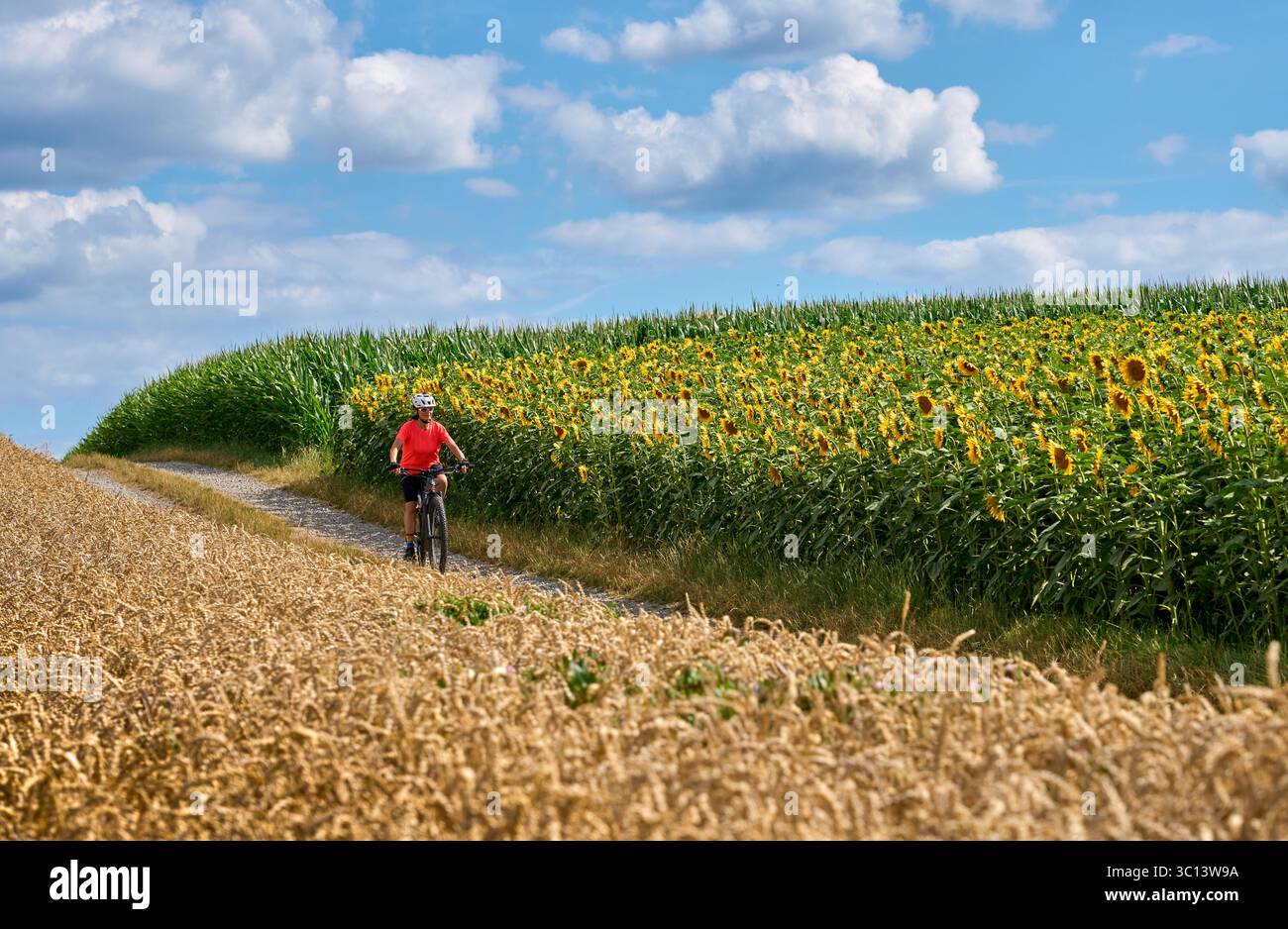 nice and active senior woman cycling with her electric mountain bike ...