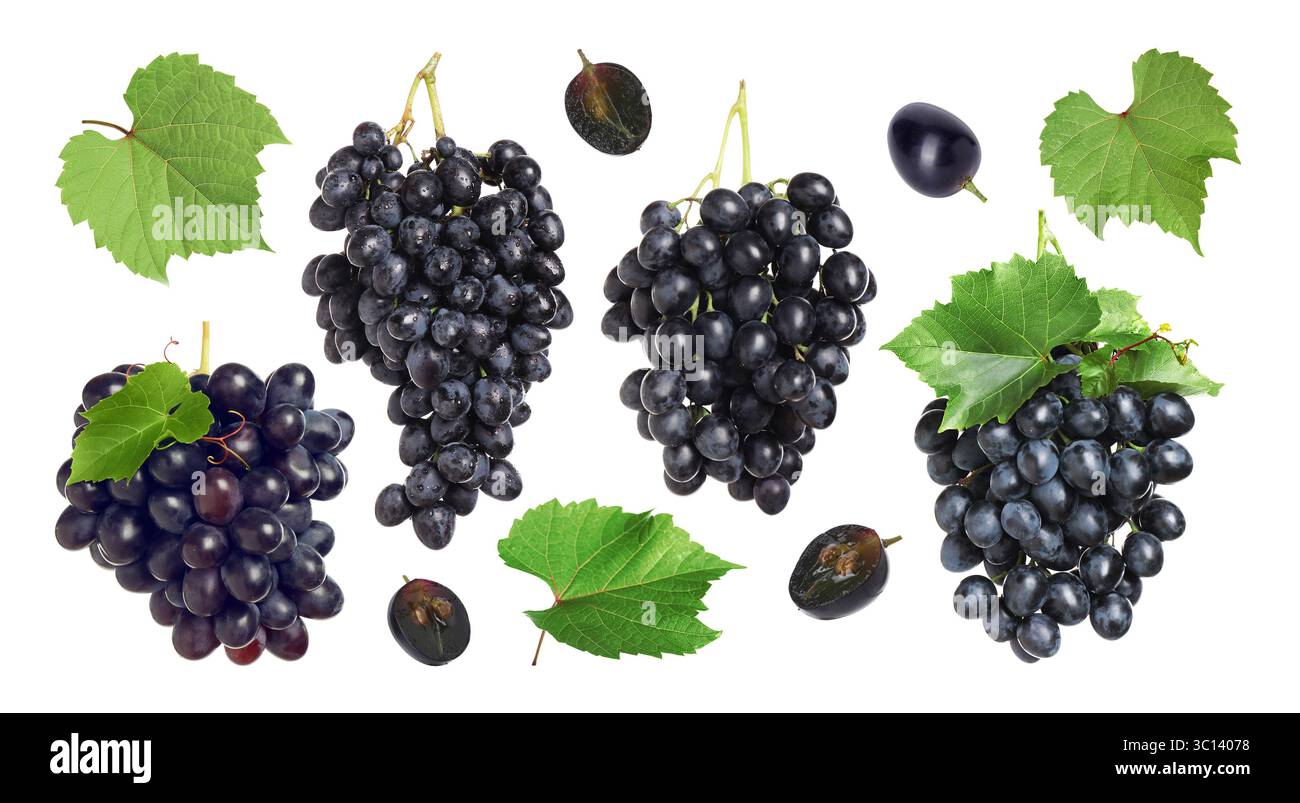 Dark purple vine leaves Cut Out Stock Images Pictures Alamy