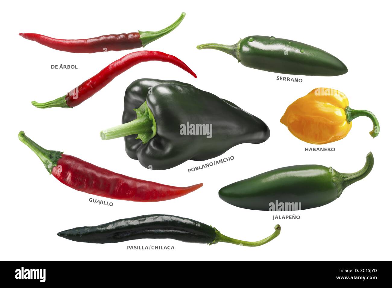 Mexican chile peppers: Arbol, Pasilla, Guajillo, Poblano, Habanero, Jalapeno. Clipping paths Stock Photo