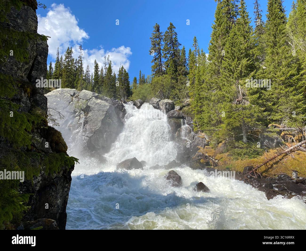 Spectacular waterfall rushing down a rocky mountainside surrounded by trees. - Smartphone Captured Stock Image