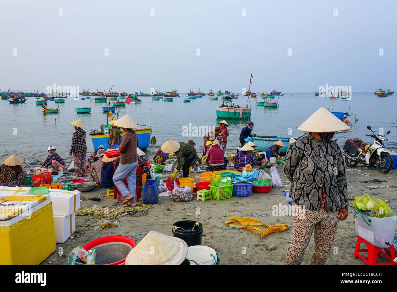 Mui Ne, Vietnam- March 22, 2025: Local women in conical hats sort fresh ...