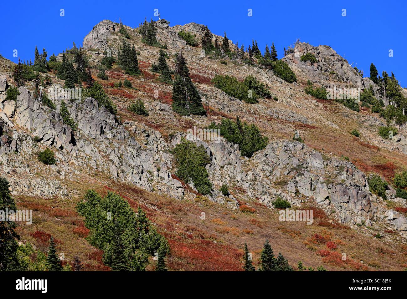 Rust-hued shrubs and emerald conifers streak across craggy rocky slopes ...