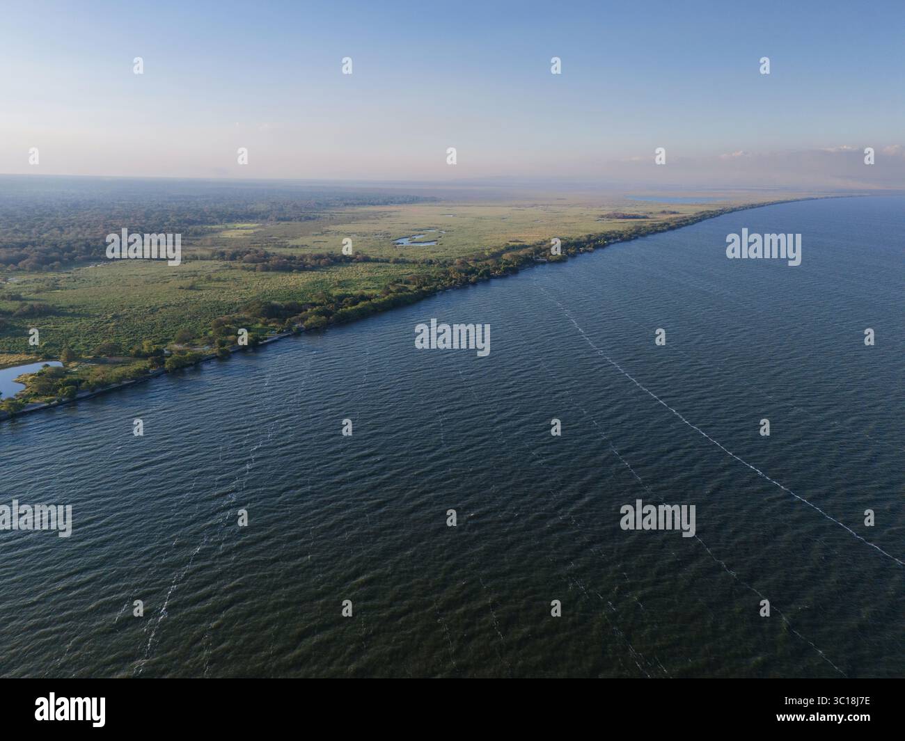 Lake shore with green swamp background aerial drone view Stock Photo