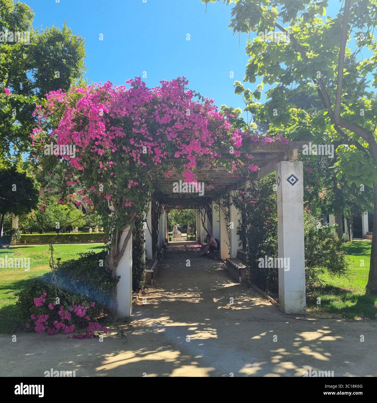Landscape of Parque de Maria Luisa - Smartphone Captured Stock Image