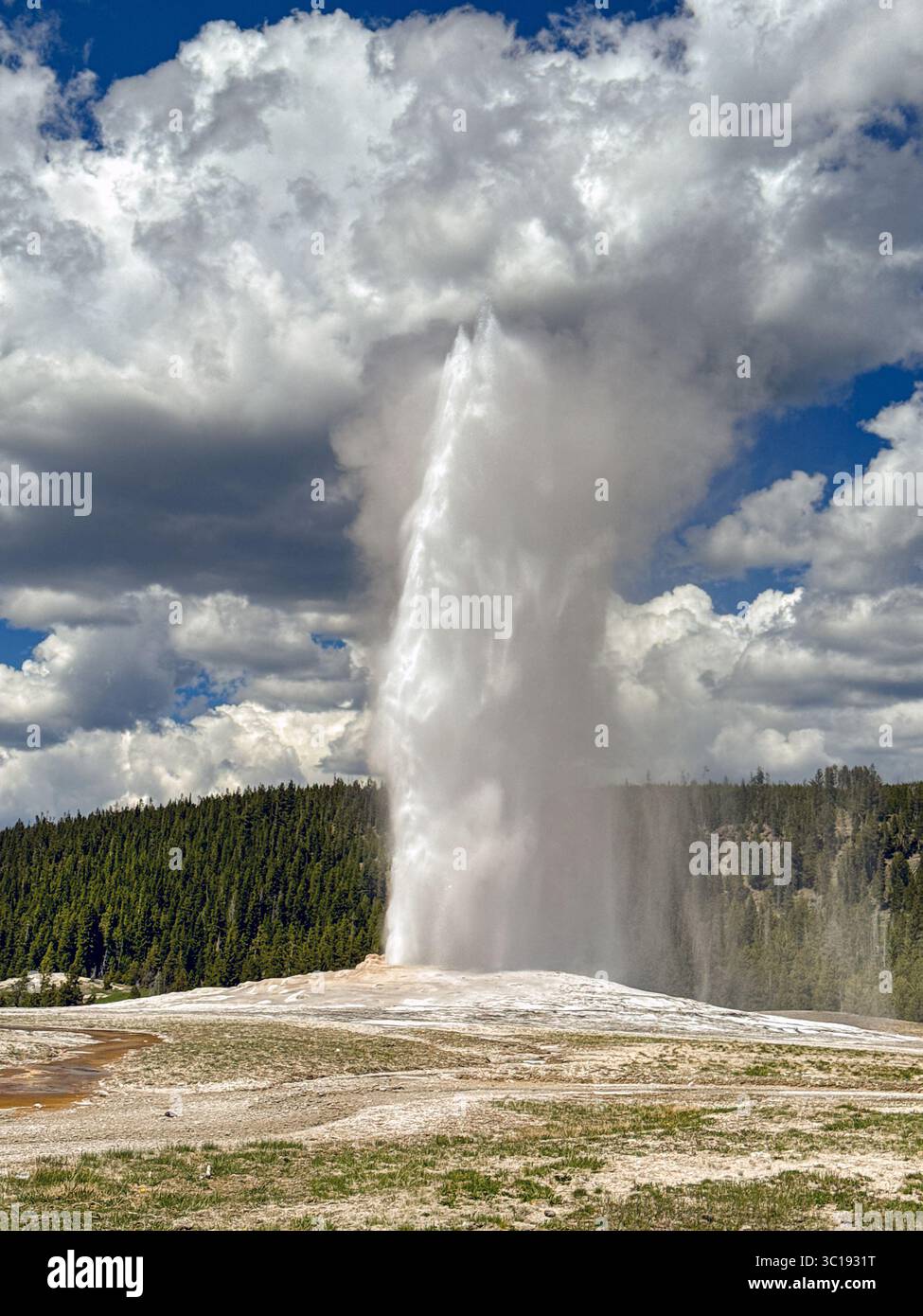 Scenic view of the Old Faithful Geyser eurpting with jets of boiling water and clouds of steam. No people. - Smartphone Captured Stock Image