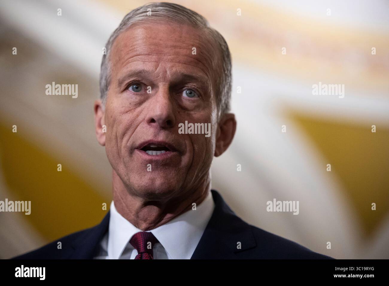Senate Majority Leader John Thune (R-S.D.) speaks during a press ...