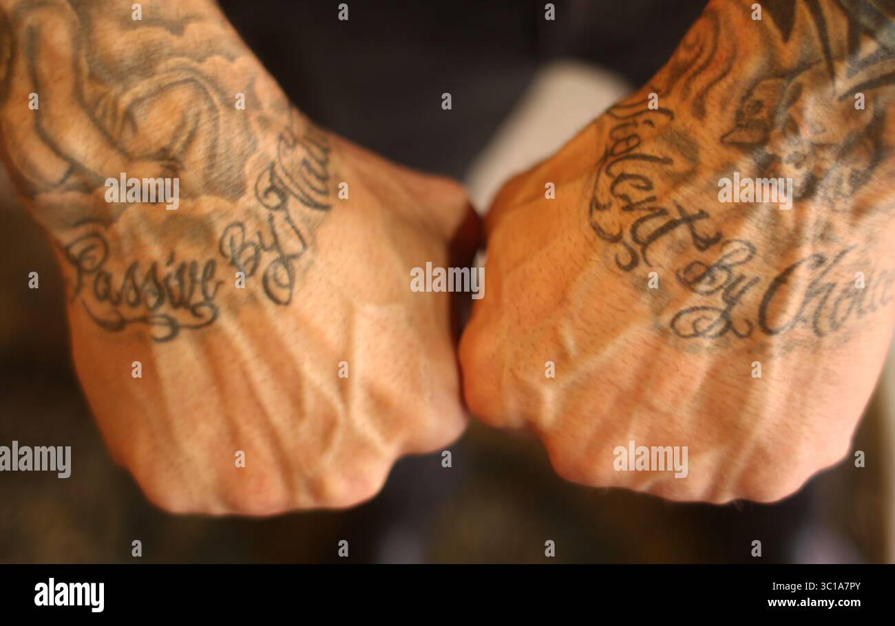 Dave bautista wwe hi-res stock photography and images - Alamy, image size:1300x910