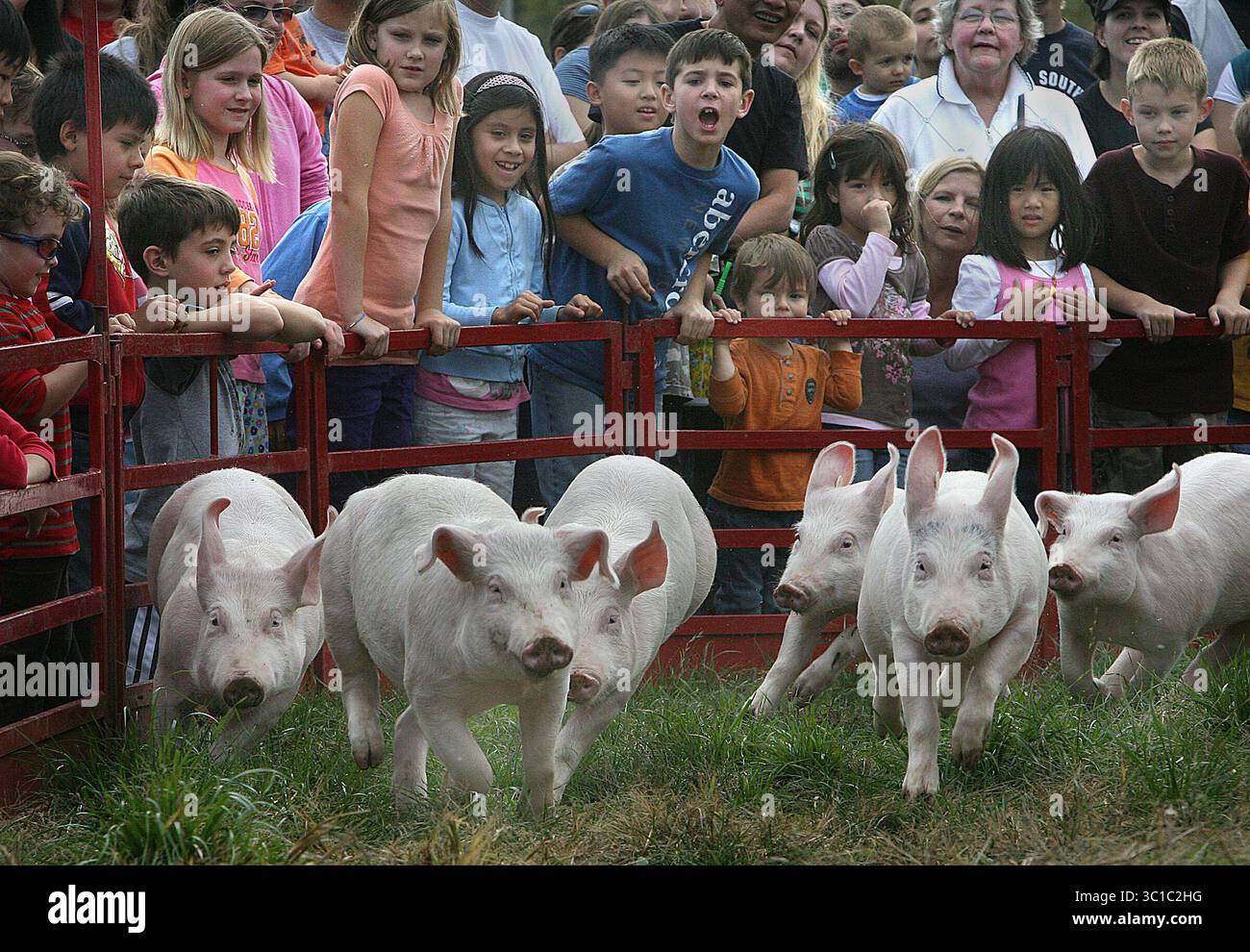 Maze races hi-res stock photography and images - Alamy