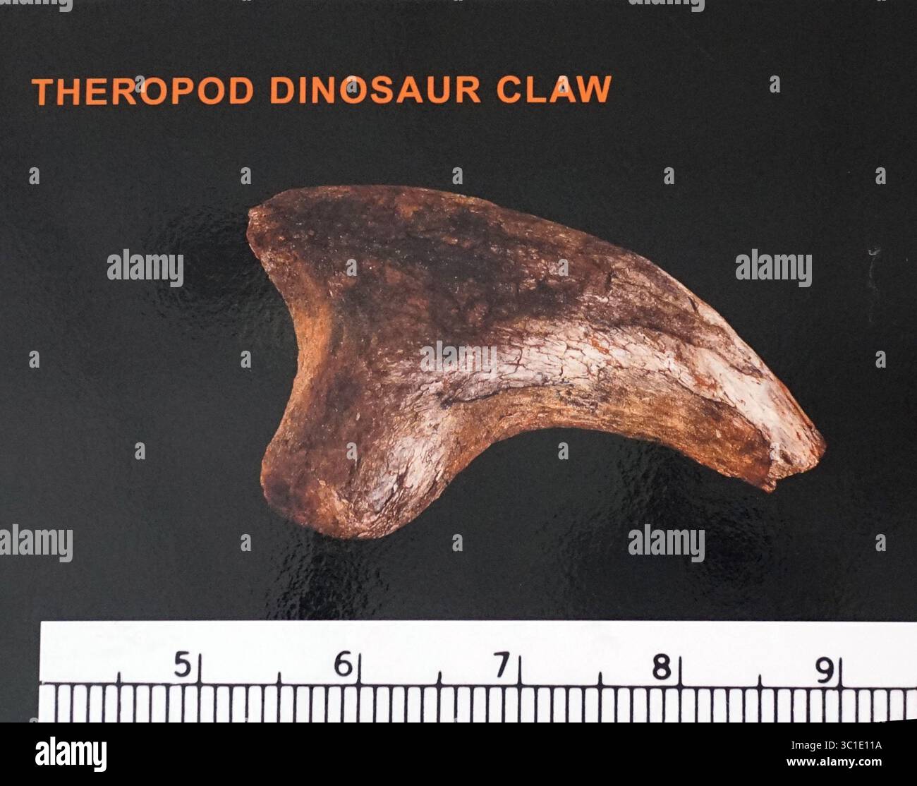 Science Claws Hill annex mine state park hi-res stock photography and images - Alamy