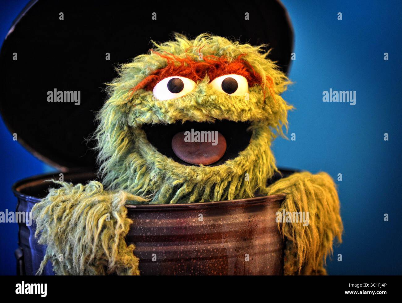 KAWS \u0026 Sesame Street Oscar Vinyl Figure - US, image size:1300x979