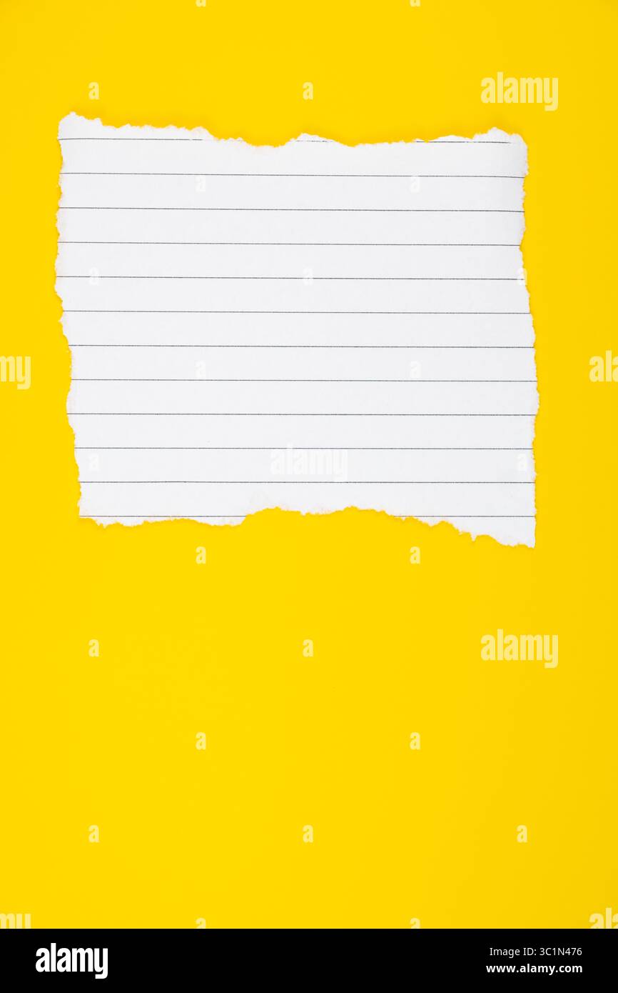 vertical flat lay background with spiral notebook torn page Stock Photo