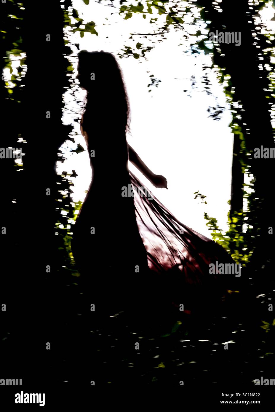 A silhouetted woman in a flowing dress walks through a forest, with the dress trailing behind her. Stock Photo