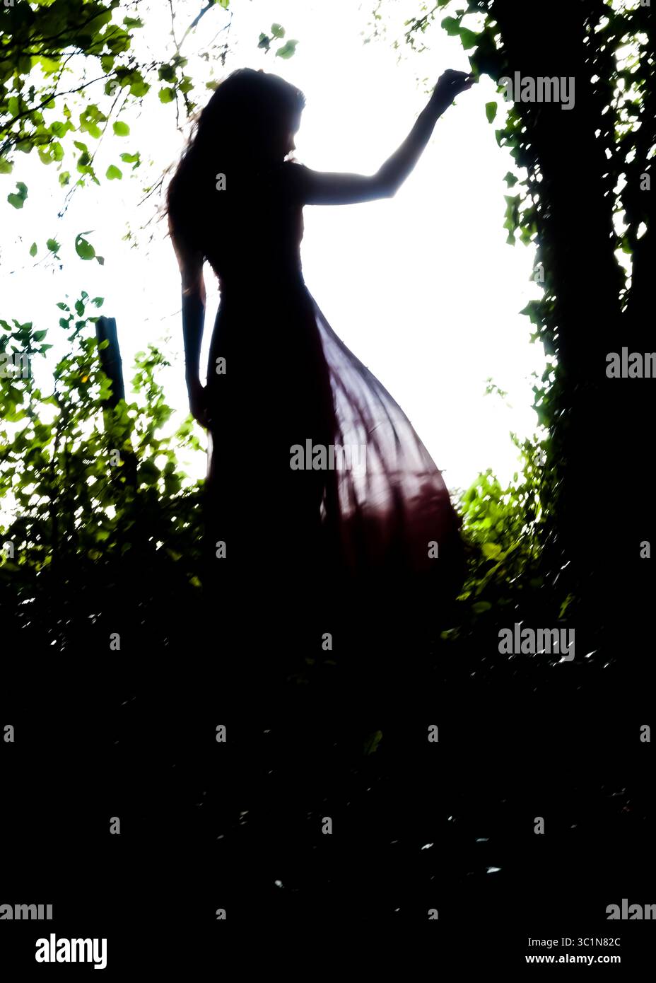 A silhouetted woman in a flowing dress reaches towards leaves in a bright, sunlit area, framed by dark foliage. Stock Photo