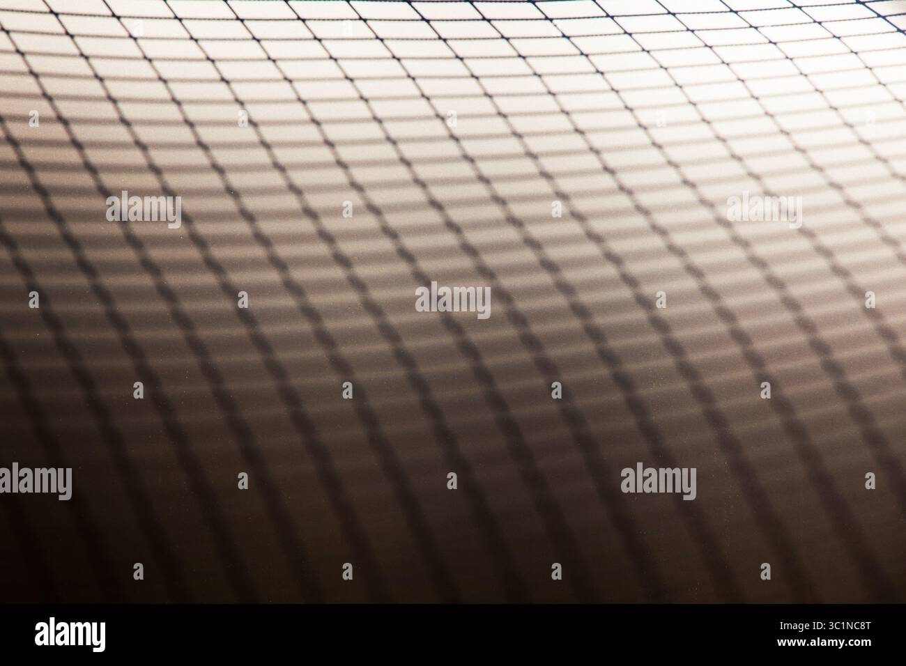 Grid reflection on a white and gray background. Stock Photo