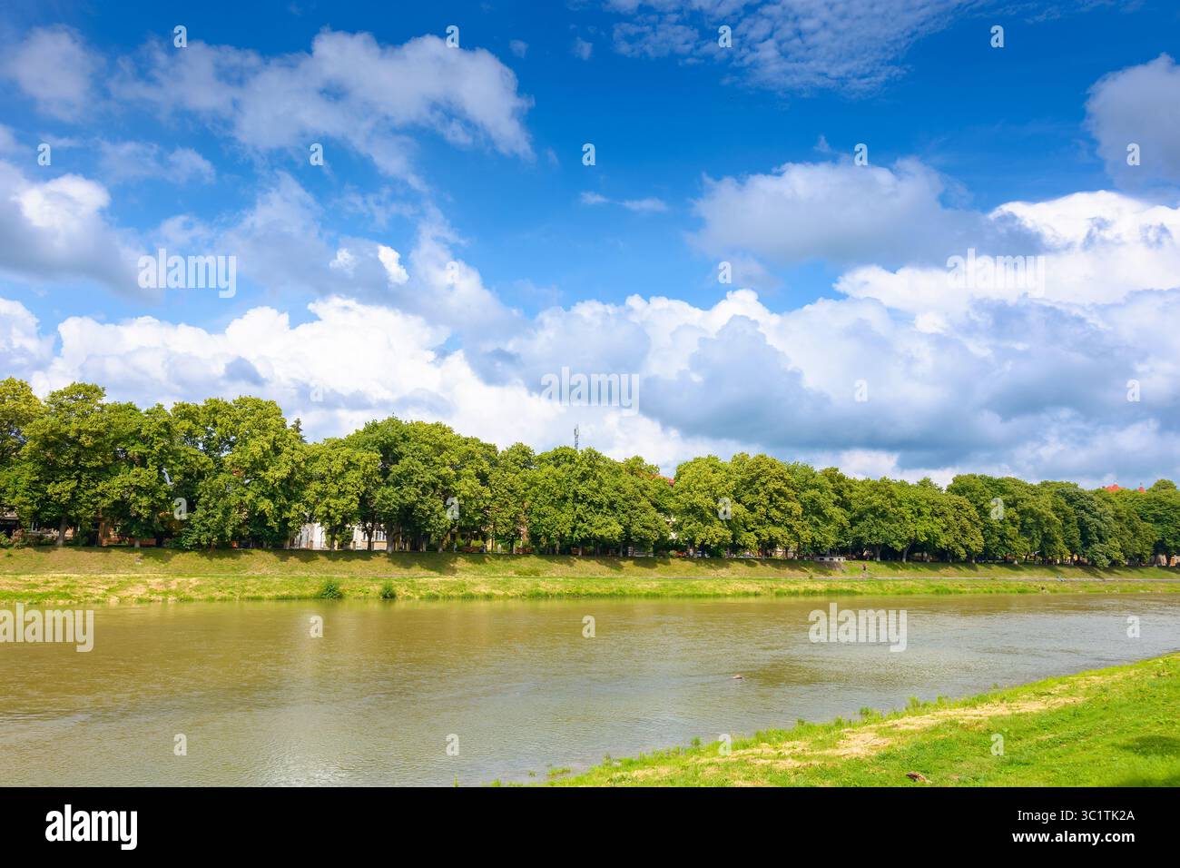 embankment of a river uzh in summer. longest linden alley in europe on a sunny day. view of lush trees near water under blue sky with clouds. beautifu Stock Photo