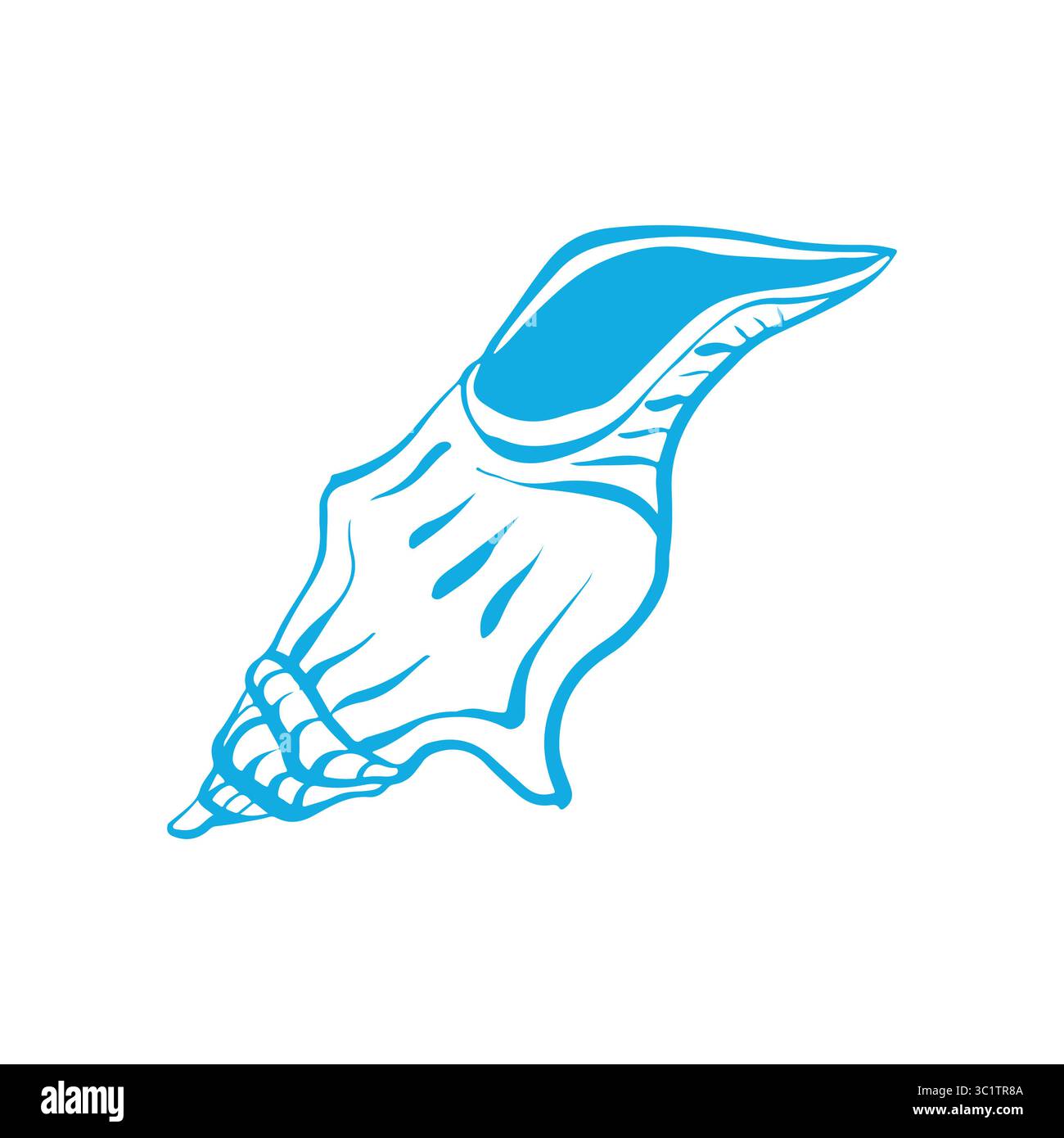 Outline illustration of a seashell. Hand drawn doodle style seashell ...