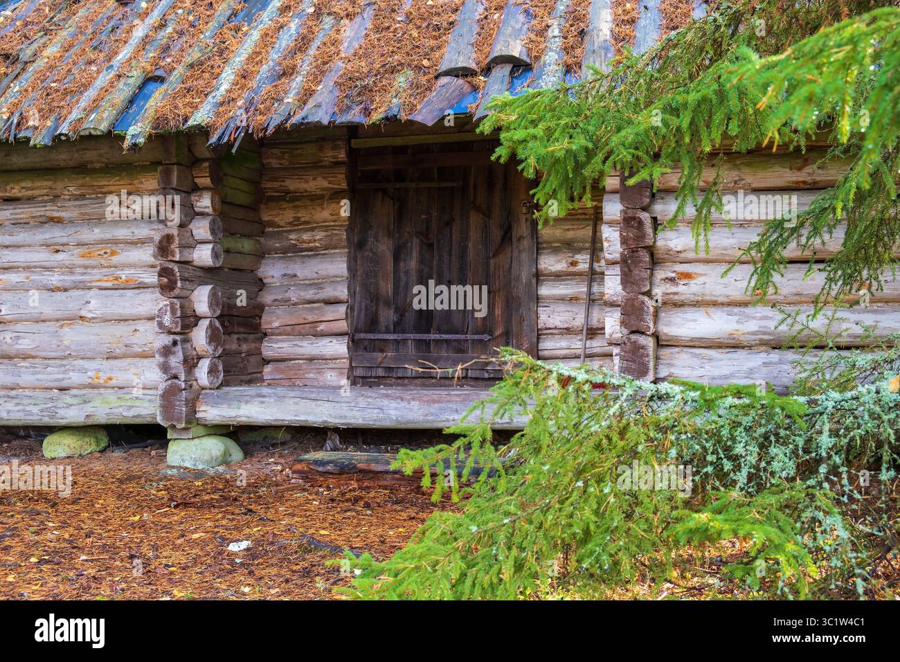 Idyllic old log cabin in a forest Stock Photo