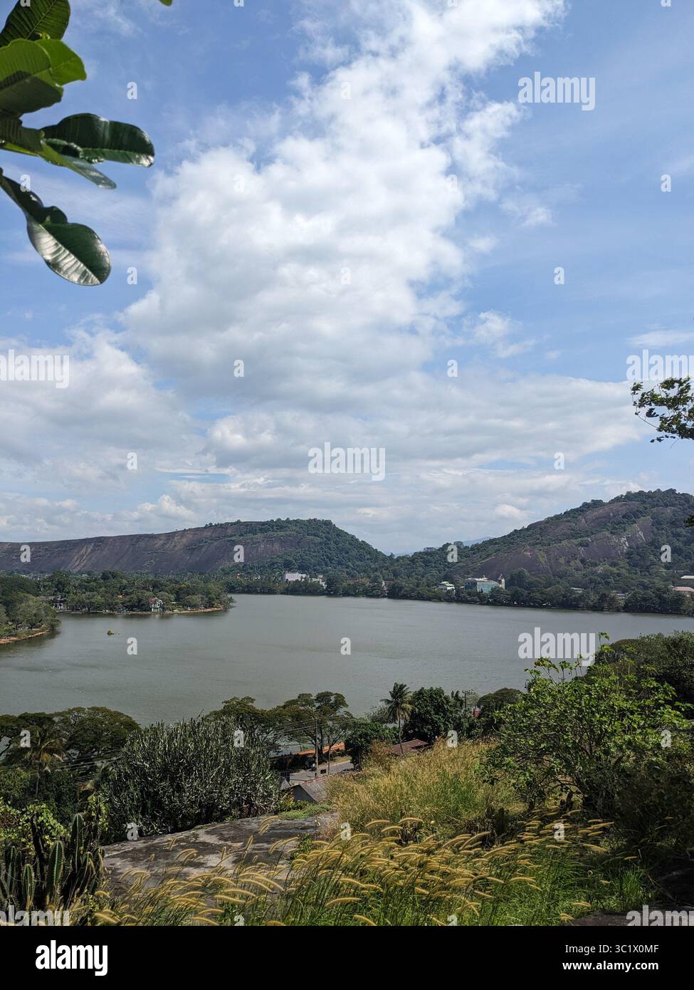 Peaceful lake view surrounded by lush greenery and distant hills under a bright blue sky. - Smartphone Captured Stock Image