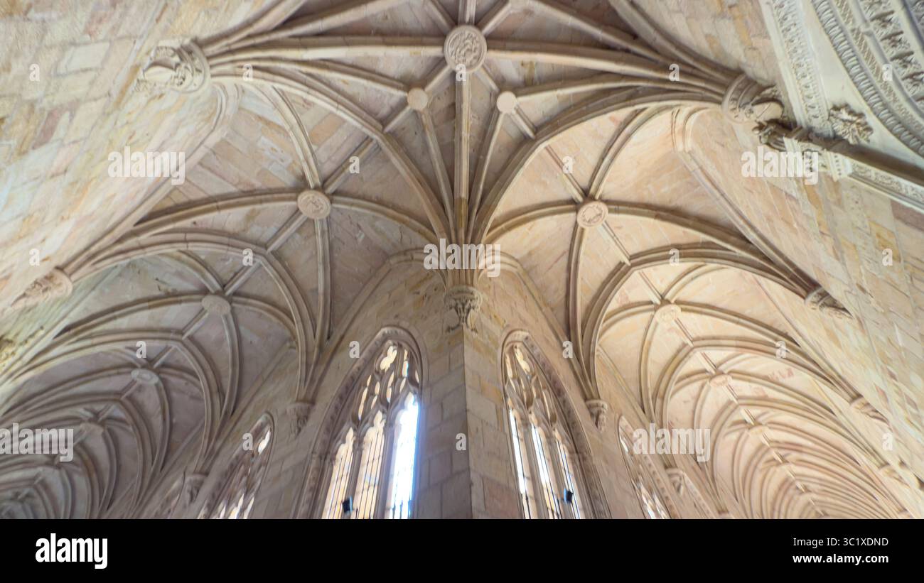 Exploring the intricate gothic ceiling design at Catedral de Siguenza ...