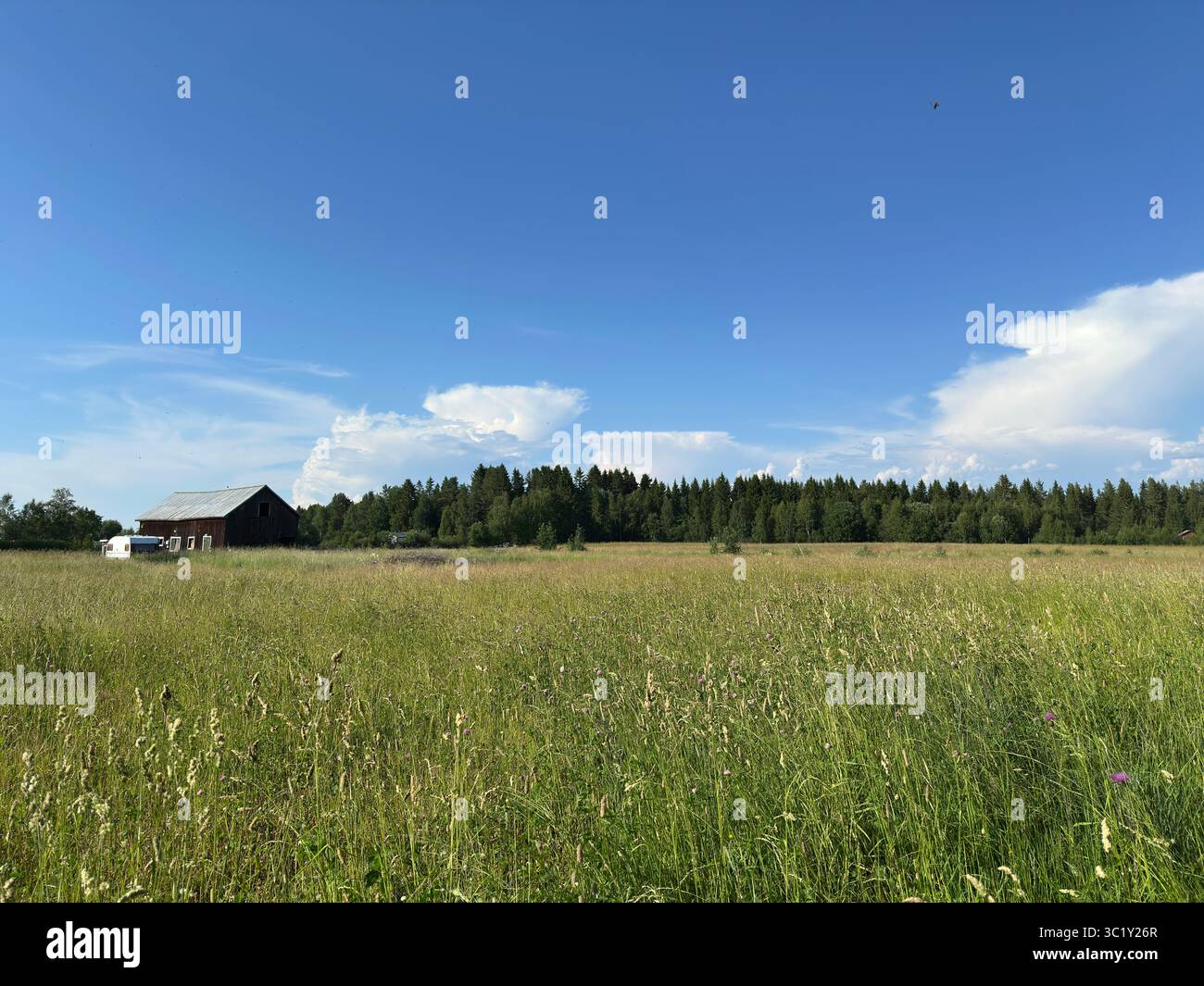 A charming scene of a barn in a green field under a bright blue summer sky. - Smartphone Captured Stock Image