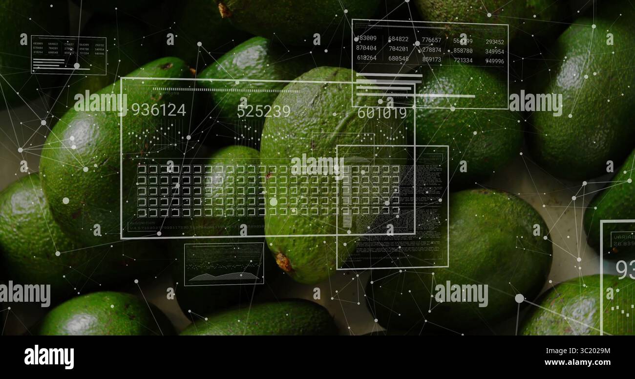 Displaying green limes filling macro frame, with numeric UI panels, grid overlays and node network Stock Photo