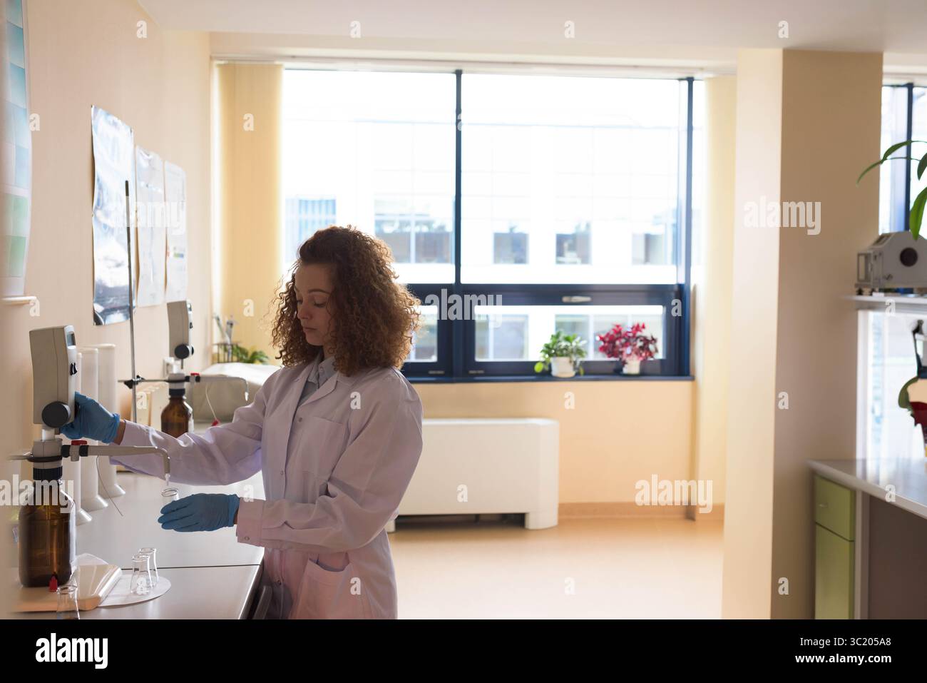 Female lab technician wearing lab coat pouring liquid from amber bottle ...