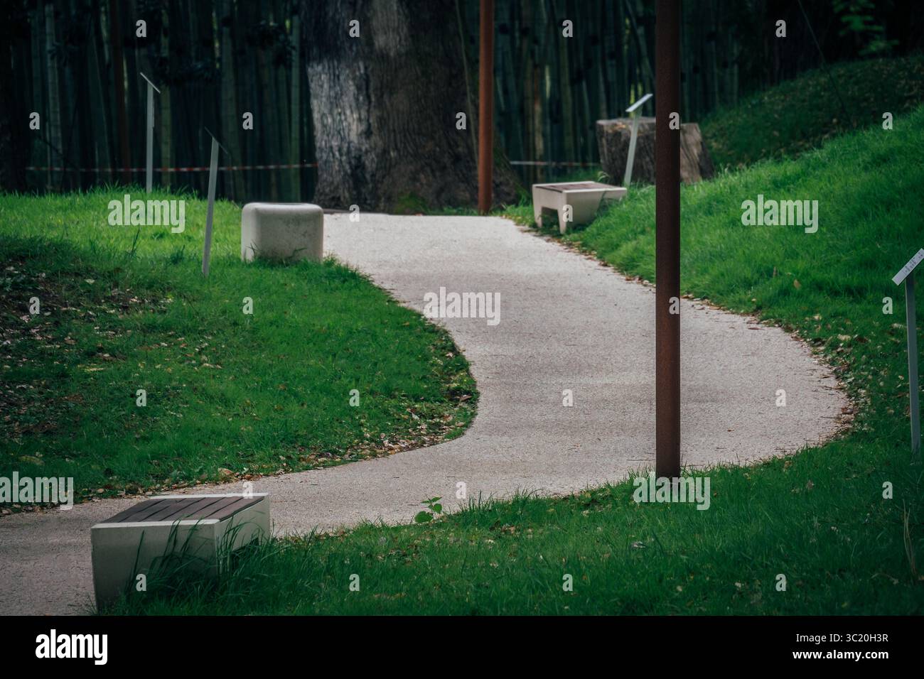 Curved walking path in green park with benches and grass. Modern urban ...