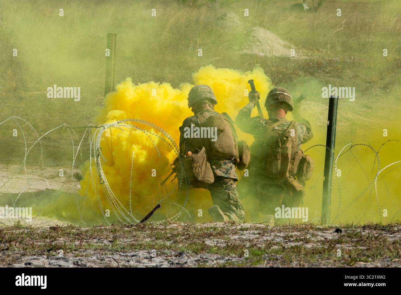 Apobs Fusing Anti personnel obstacle breaching system hi-res stock photography and ...