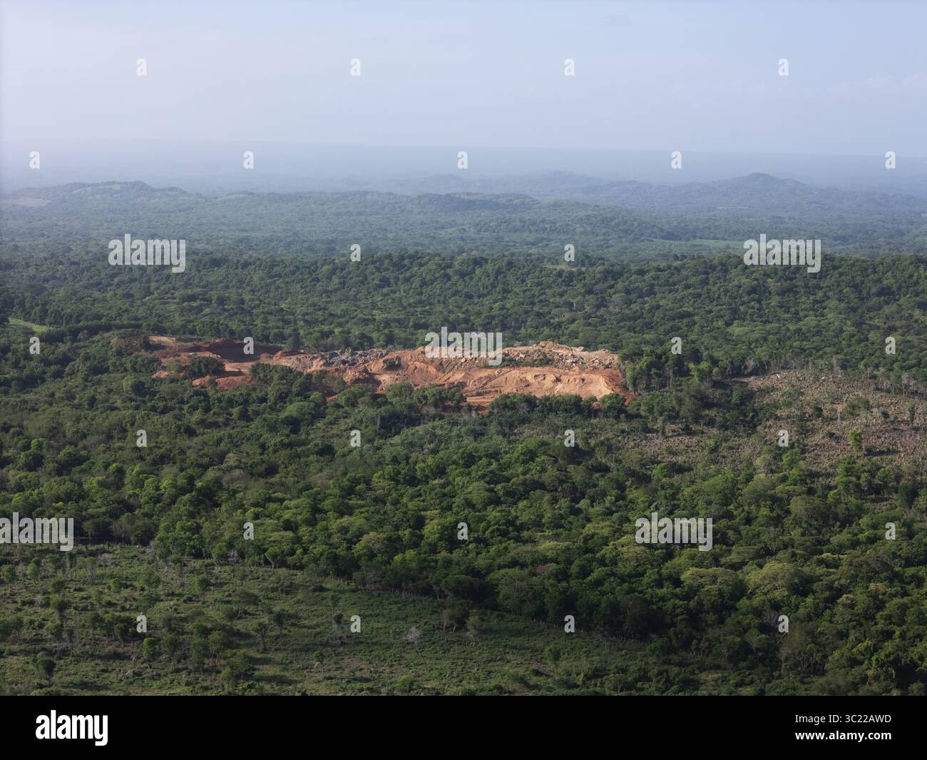 Aerial view shows cleared section of land surrounded by dense trees ...